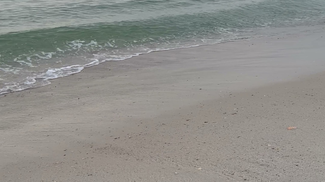 The Gulf at sunset from the beach